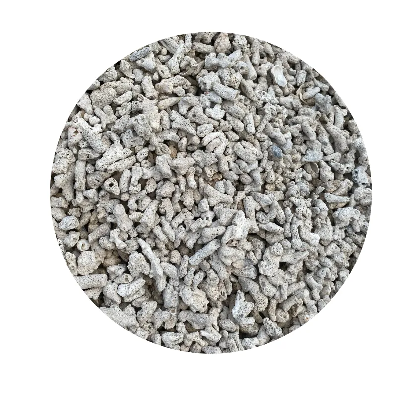 &lt;trp-post-container data-trp-post-id=&#039;20591&#039;&gt;Explore the Beauty and Benefits of Coral Sands for Your Projects&lt;/trp-post-container&gt;