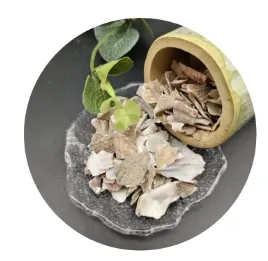 Shell Soil and Shell Sand: Nature&#039;s Gift