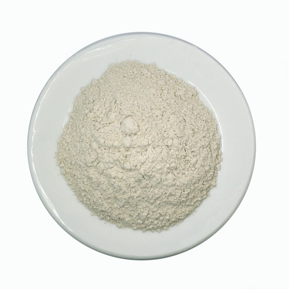 caco3 powder manufacturer manufacturer
