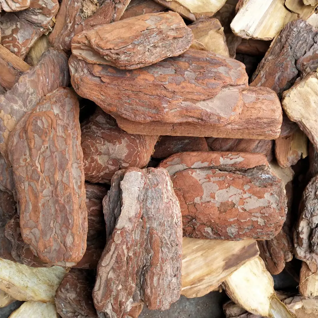 bentonite in water treatment