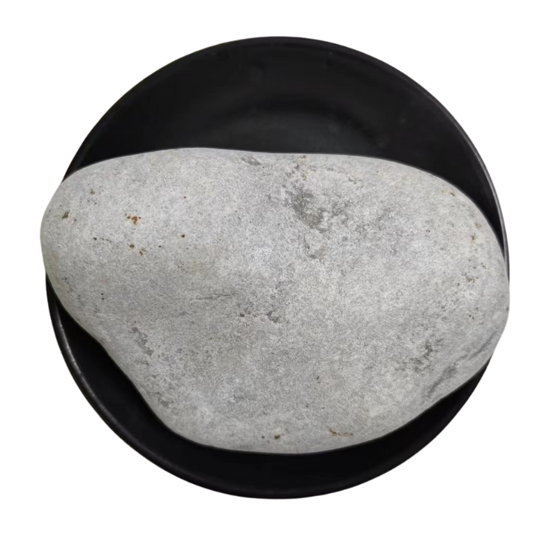 custom pelletized activated carbon manufacturers