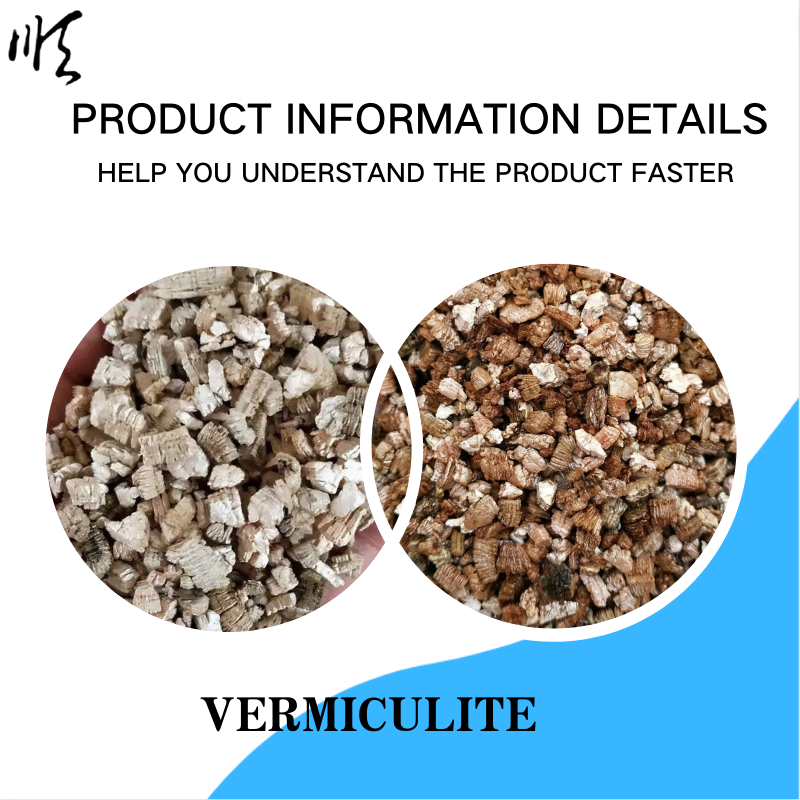 perlite and succulents