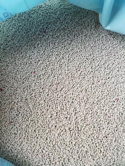 What is Bentonite Clay Litter? | Benefits & Risk