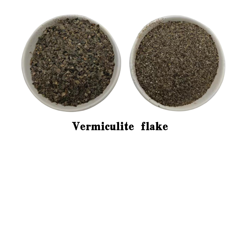 zeolite dust