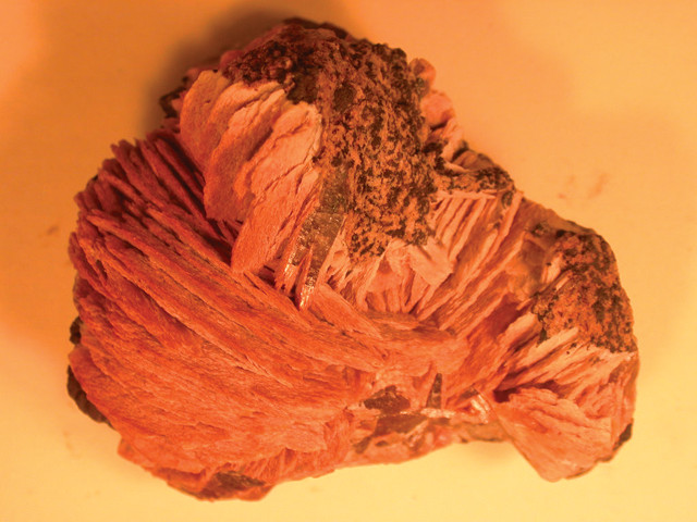 vermiculite o perlite