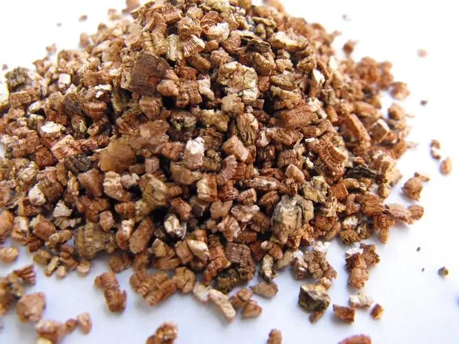 china pumice stone for soil manufacturer