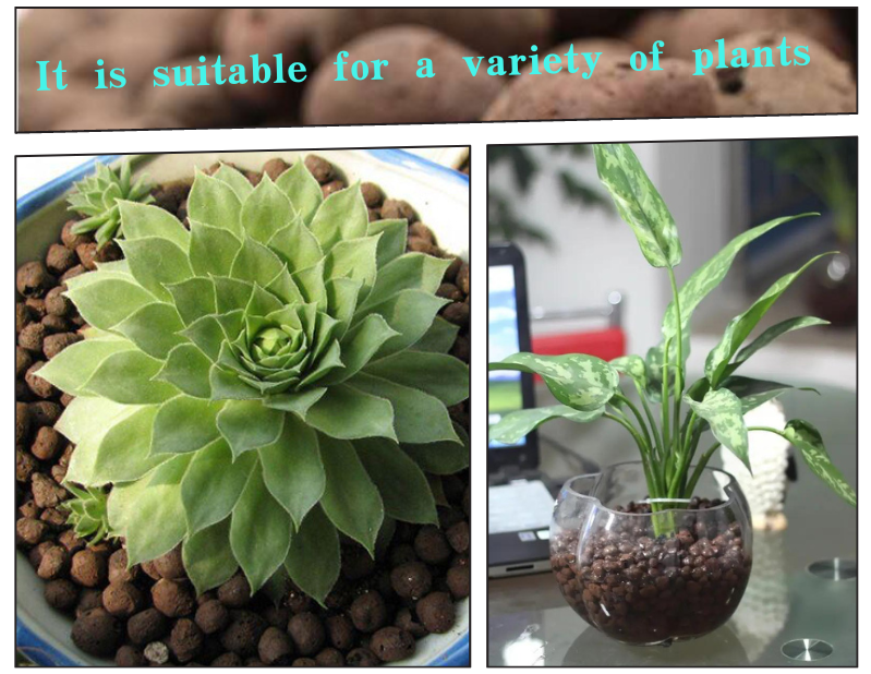 custom pebbles for plants factories
