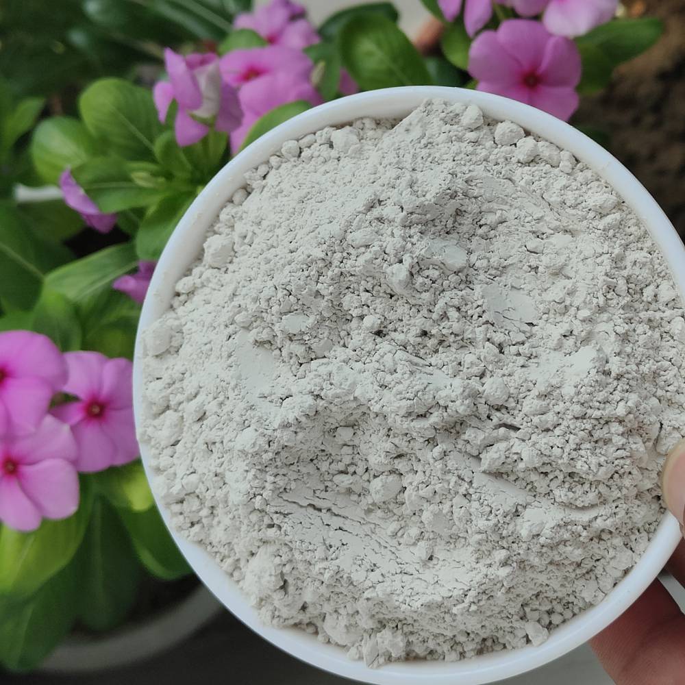 china powder zeolite factories