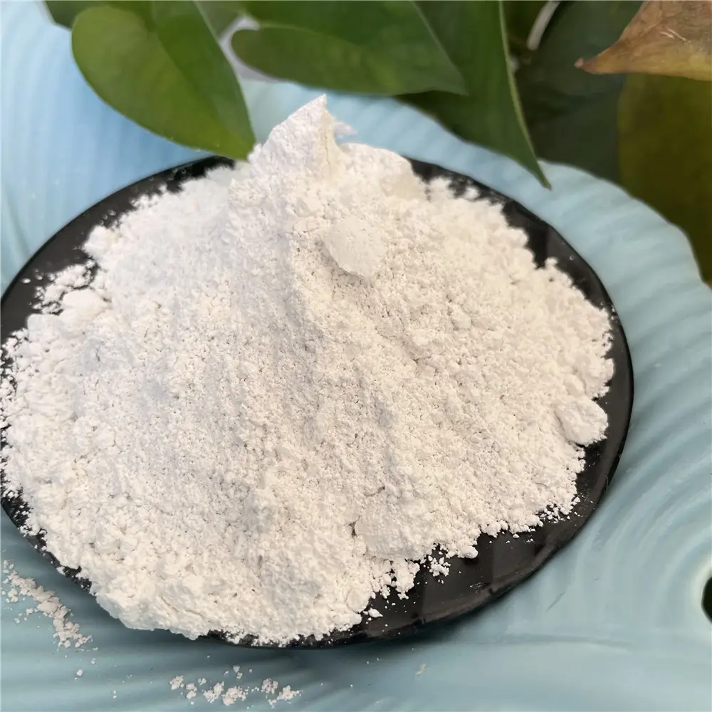 custom zeolite and diatomaceous earth factory